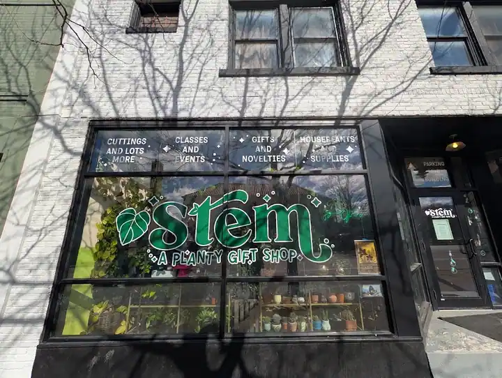 Stem Rochester, a plant nursery in Rochester