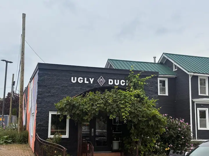 Ugly Duck Coffee, a coffee shop in Rochester