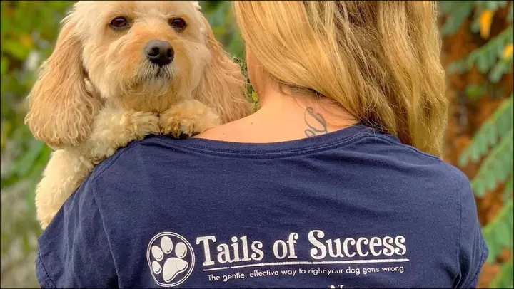 Tails of Success: Dog Daycare and Training, a dog day care center in Rochester