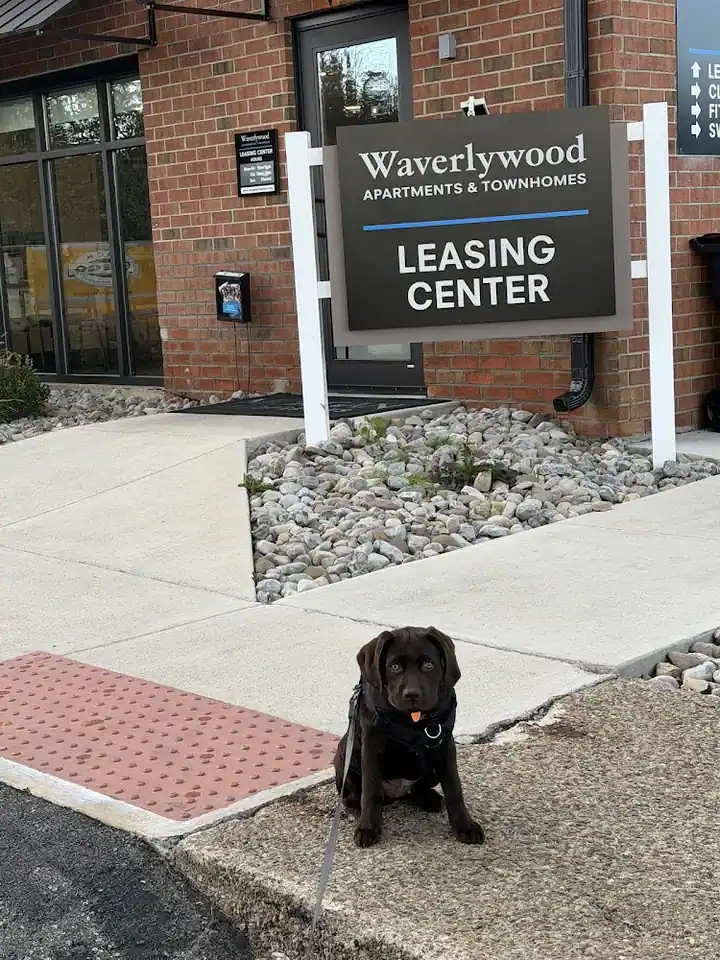 Waverlywood Apartments & Townhomes, an apartment rental agency in Webster