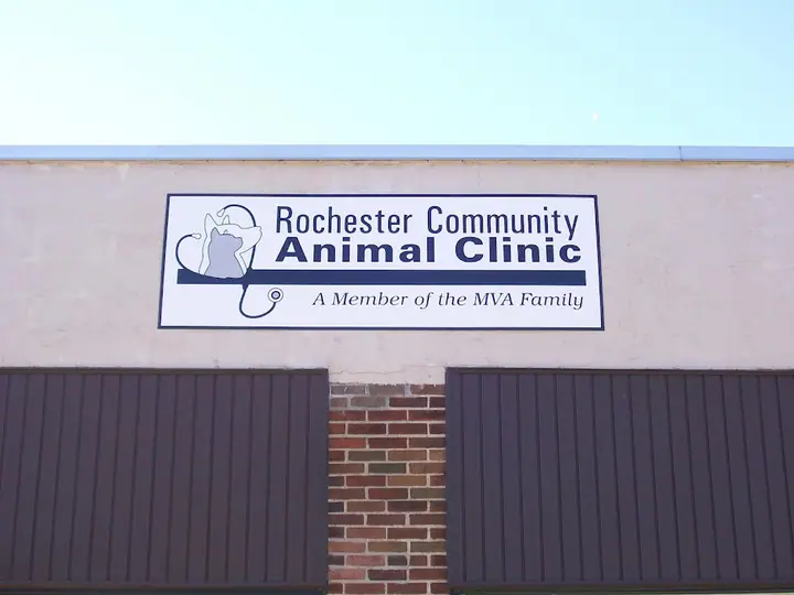 Rochester Community Animal Clinic, a veterinarian in Rochester