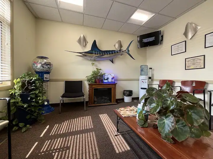 Torrado Dental, a dentist in Brighton