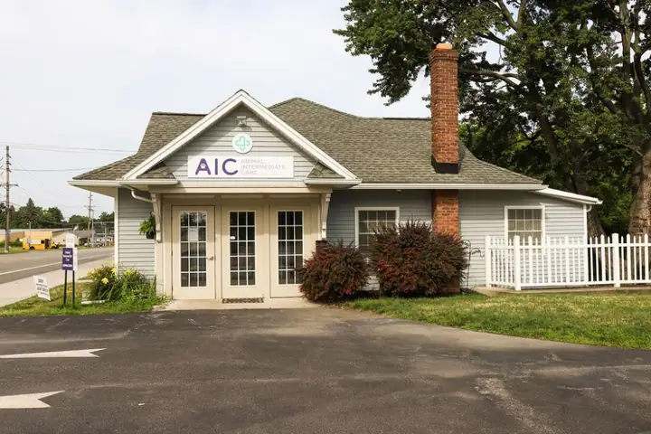 Animal Intermediate Care, a veterinarian in Webster