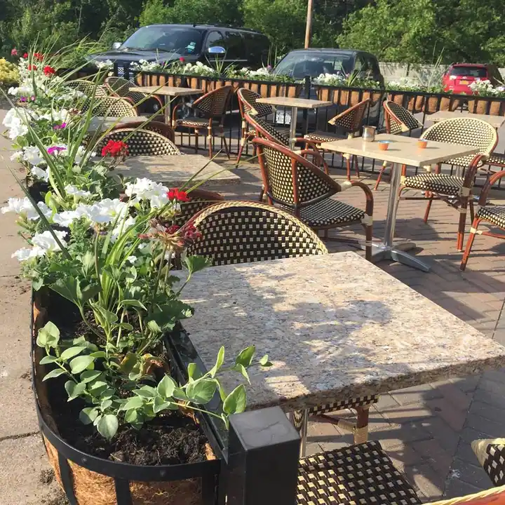 Basha Mediterranean Eatery, a Mediterranean restaurant in Rochester
