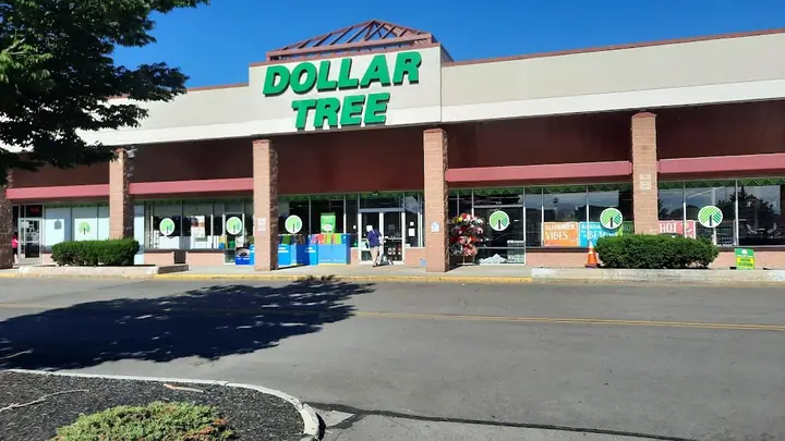 Dollar Tree, a discount store in Webster