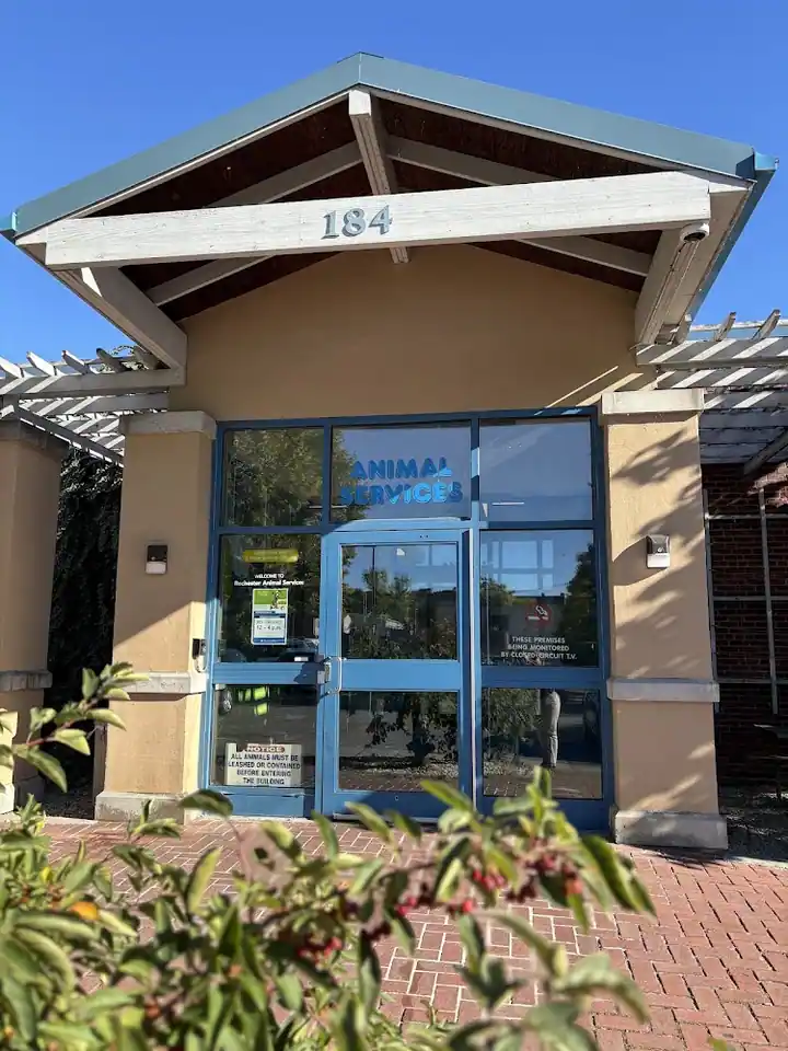 Rochester Animal Services, an animal shelter in Rochester