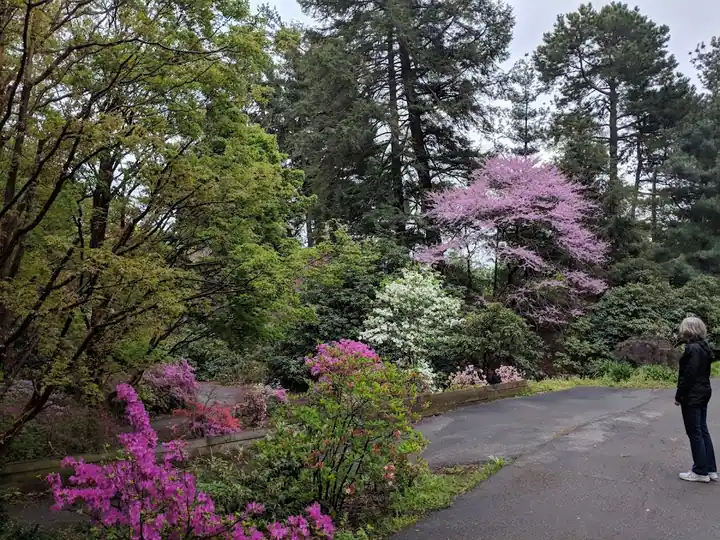 Highland Park, a park in Rochester