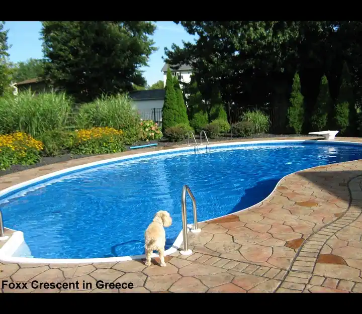 Andressi Pool & Spa LLC, a swimming pool repair service in Rochester